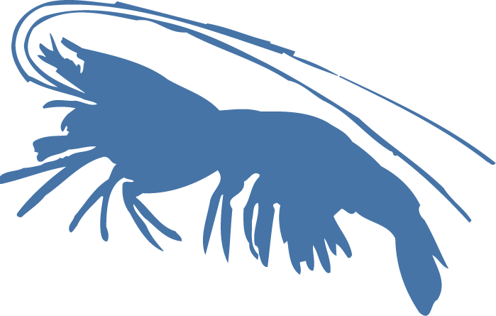 Blue Shrimp Silhouette PNG