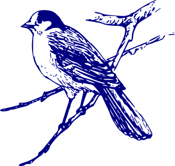Blue Silhouette Birdon Branch PNG