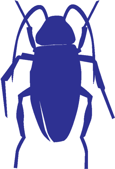 Blue Silhouette Cockroach PNG