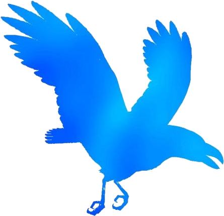 Blue Silhouette Raven Flying PNG