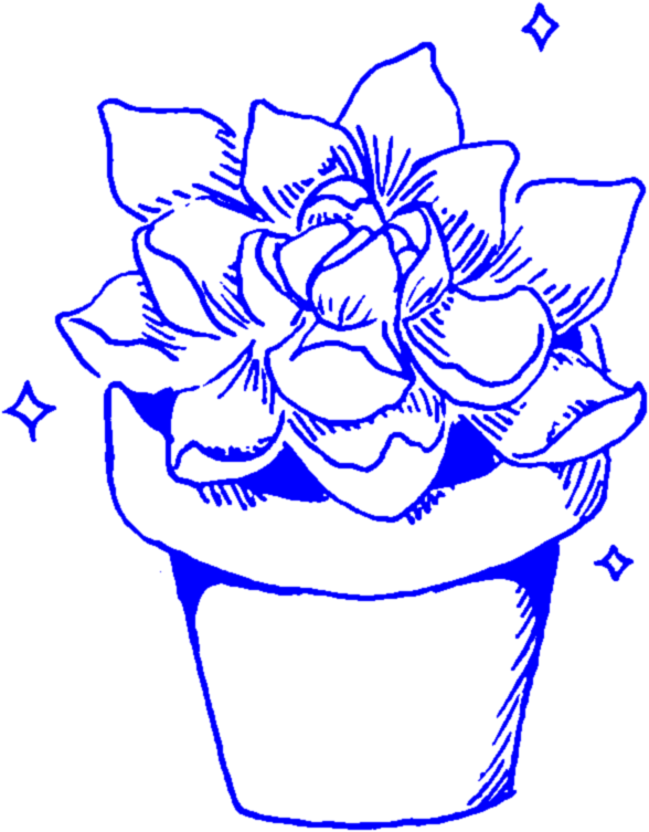 Blue Sketch Succulent Pot PNG