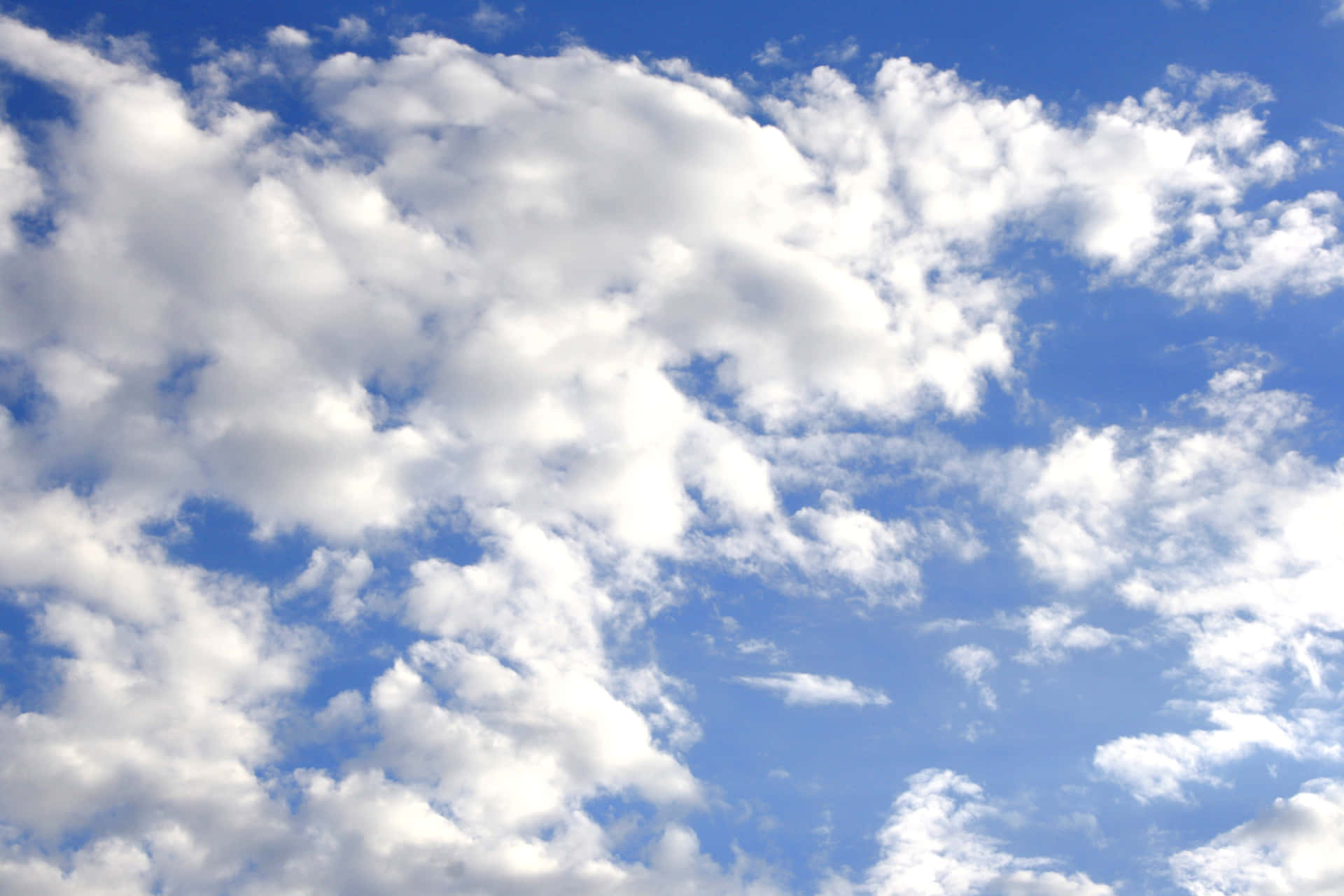 The beauty of living beneath the blue skies Wallpaper