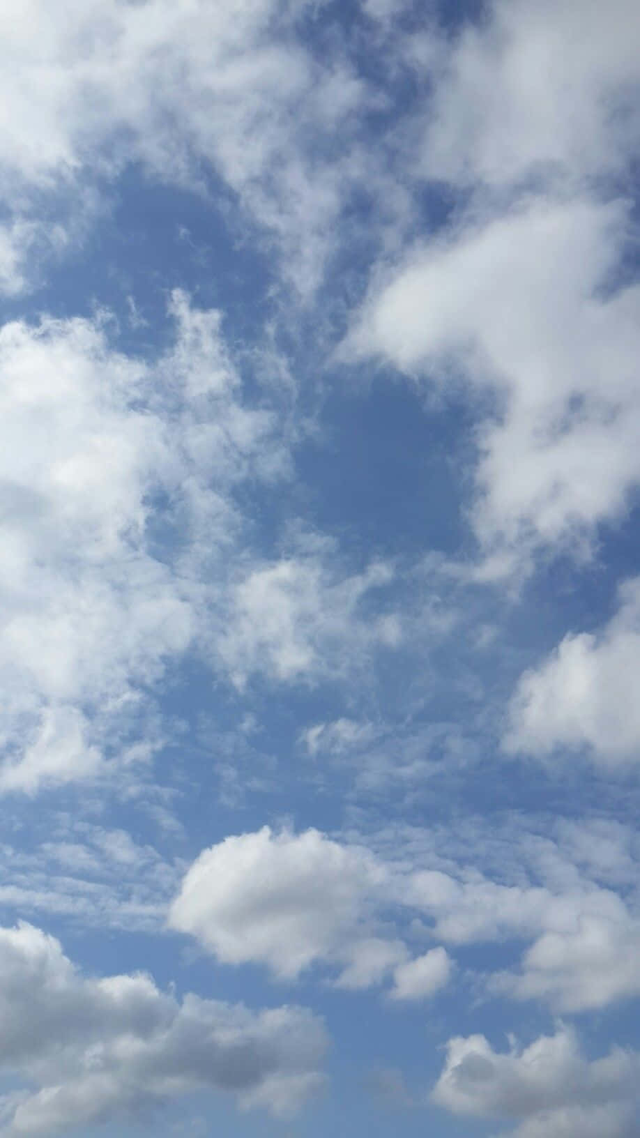 Blue sky, clear, coconut, deep, kerala, nature, summer, HD phone wallpaper  | Peakpx