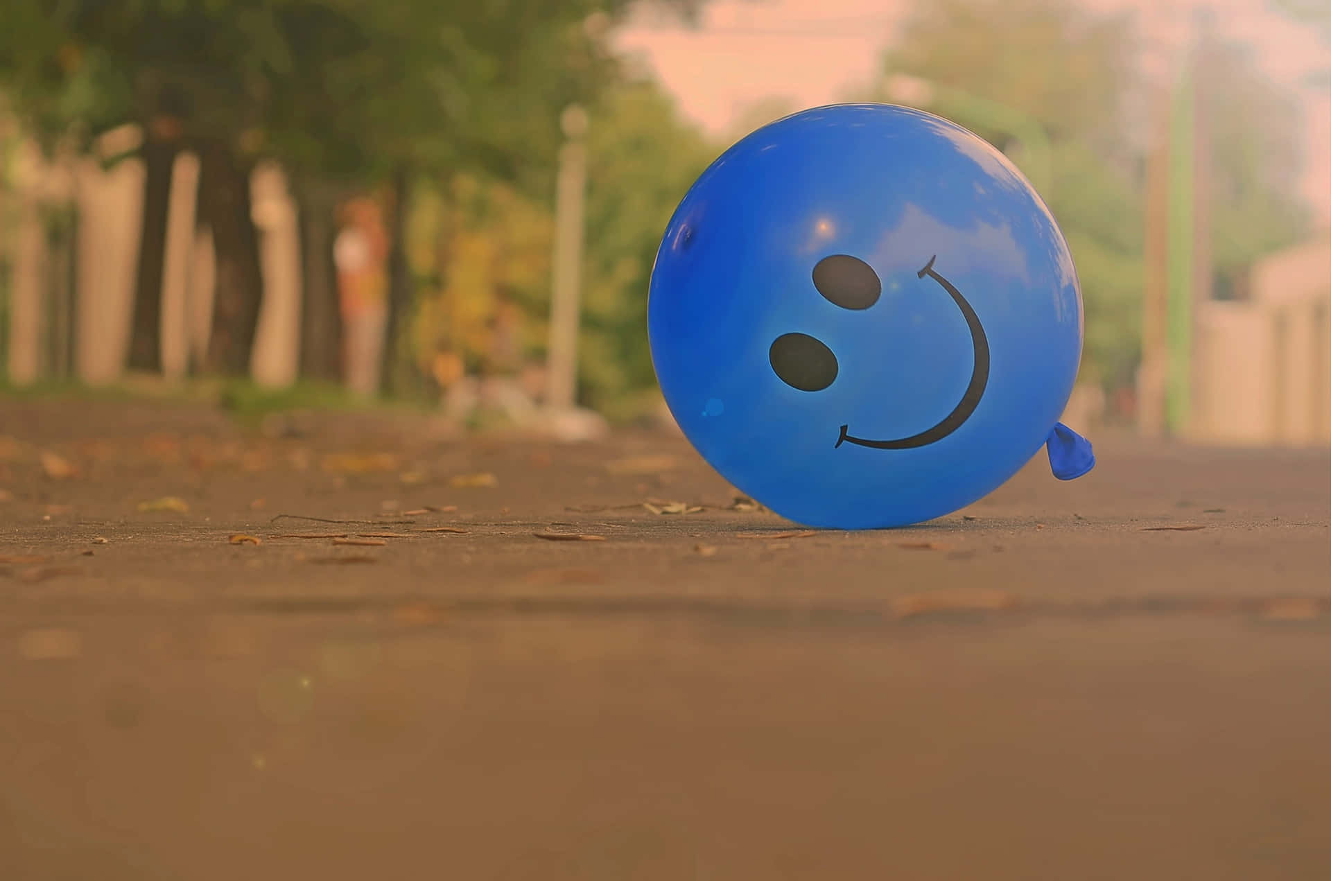 Blue Smiley Balloonon Pathway Wallpaper