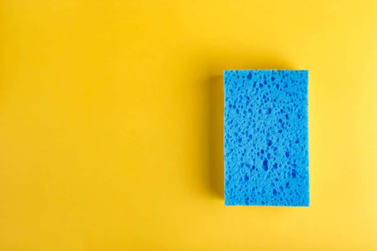Blue Sponge Yellow Background Wallpaper
