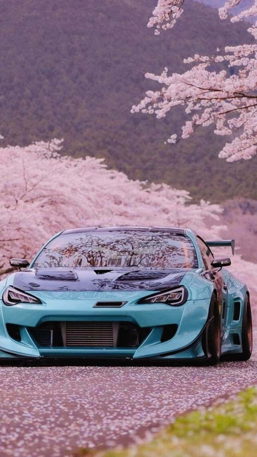 Blue Sports Car Cherry Blossoms Wallpaper