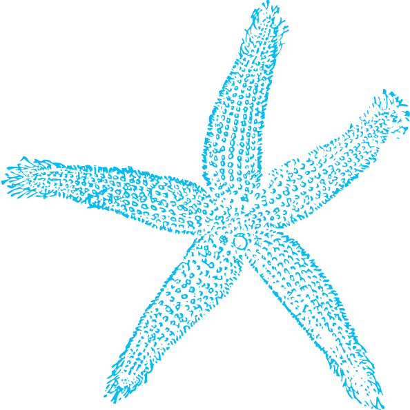 Blue Starfish Clipart Graphic PNG