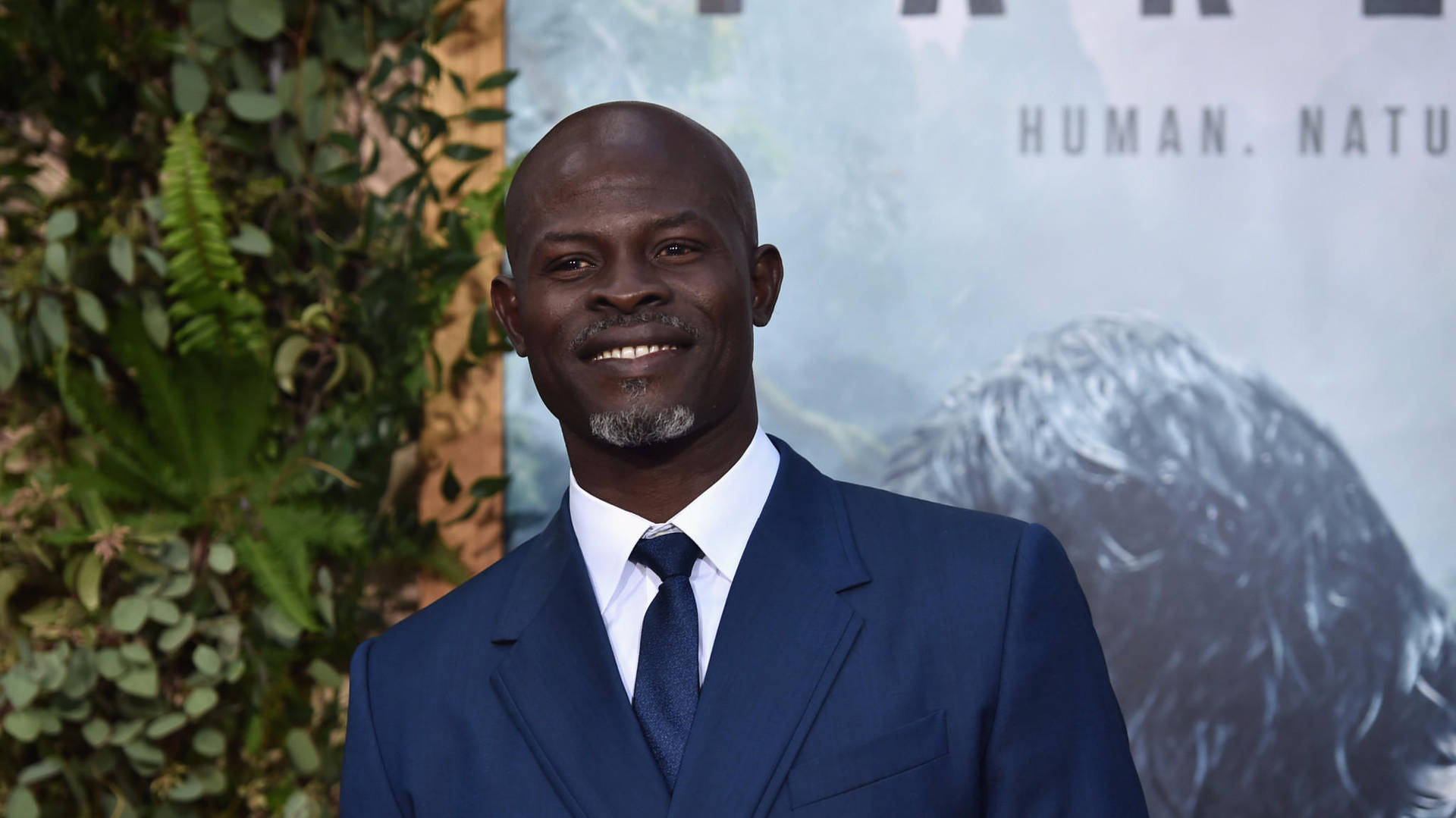 Blue Suit Djimon Hounsou Wallpaper
