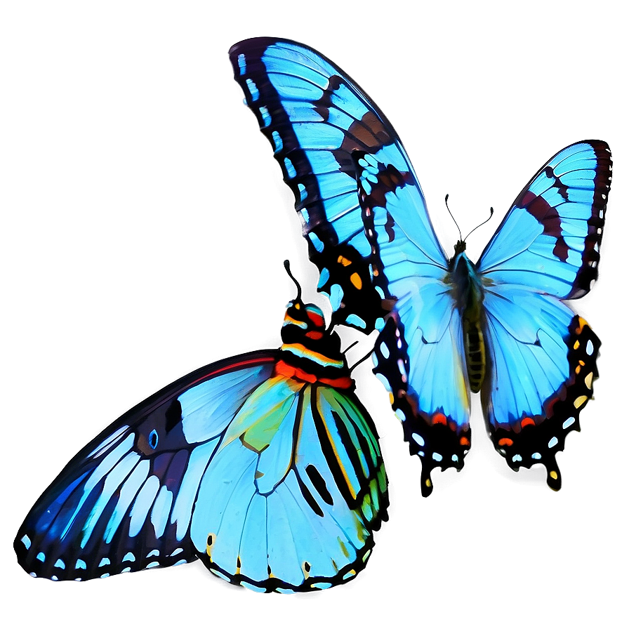 Blue Swallowtail Butterflies Png Qym PNG