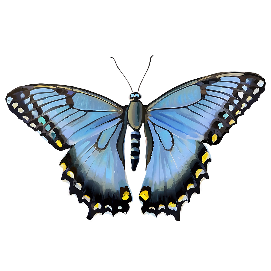 Blue Swallowtail Butterfly Png 13 PNG
