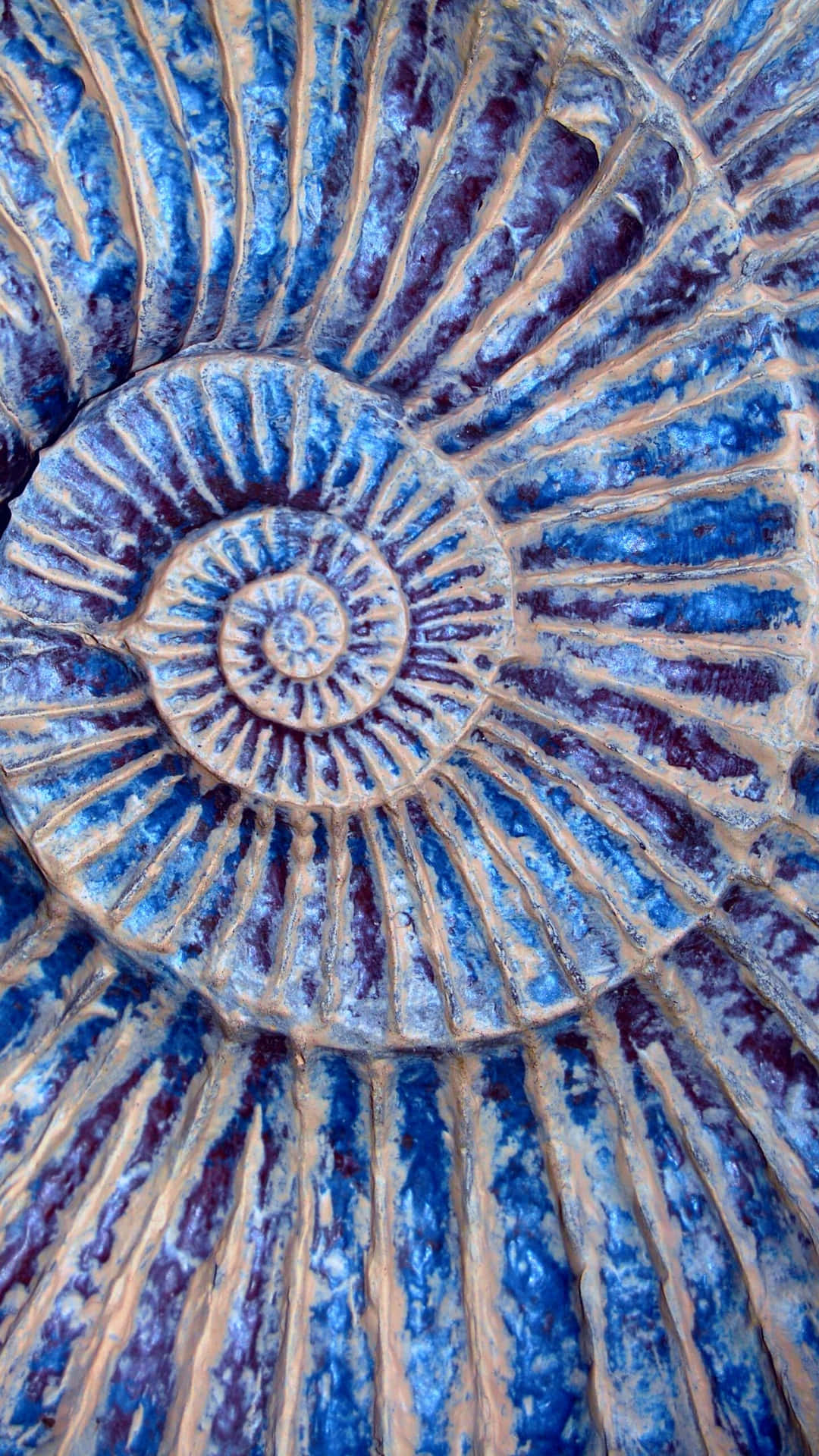 A Blue And White Shell With A Spiral Pattern