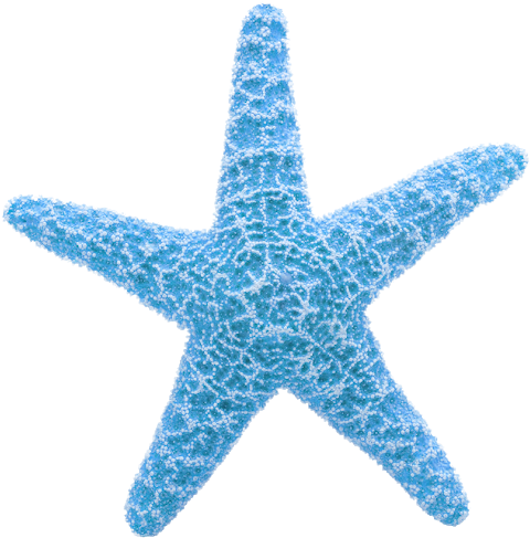 Blue Textured Starfish Clipart PNG