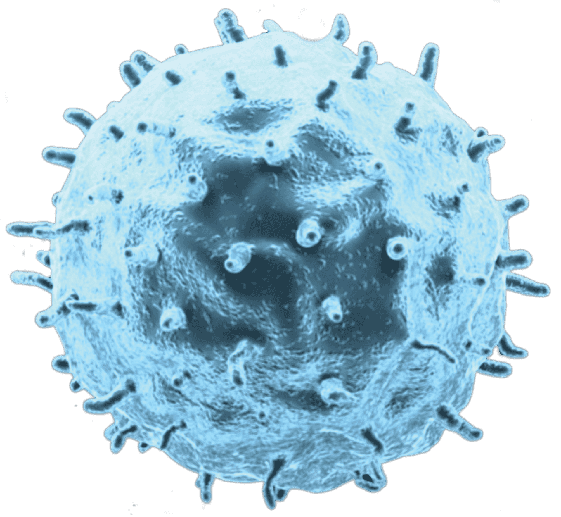 Blue Tinted Cancer Cell Micrograph PNG