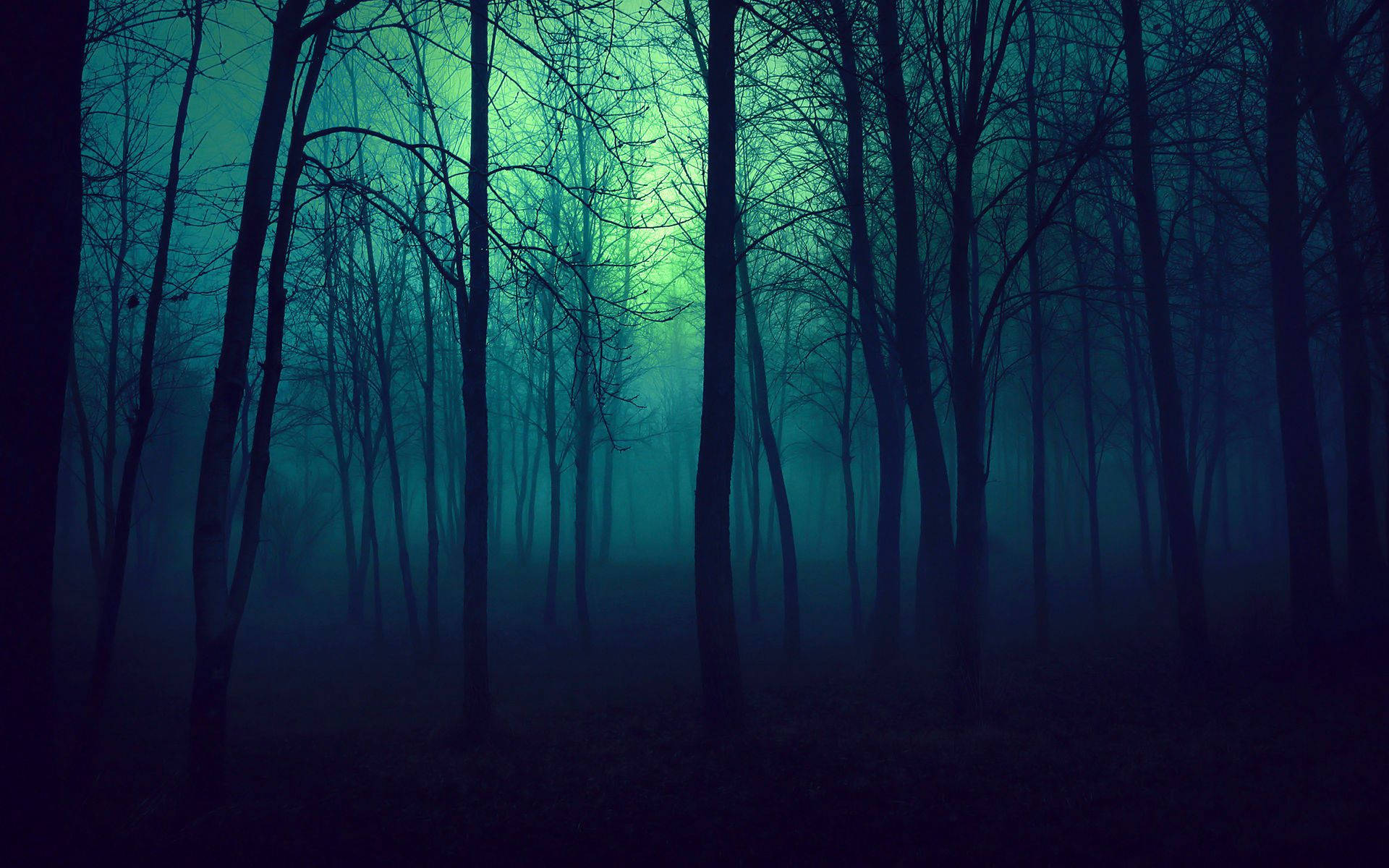 Blue-Tinted Ominous Forest Wallpaper