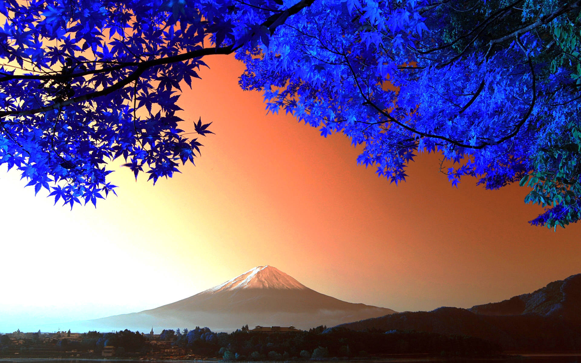 Blå træer og Mount Fuji Tapet Wallpaper