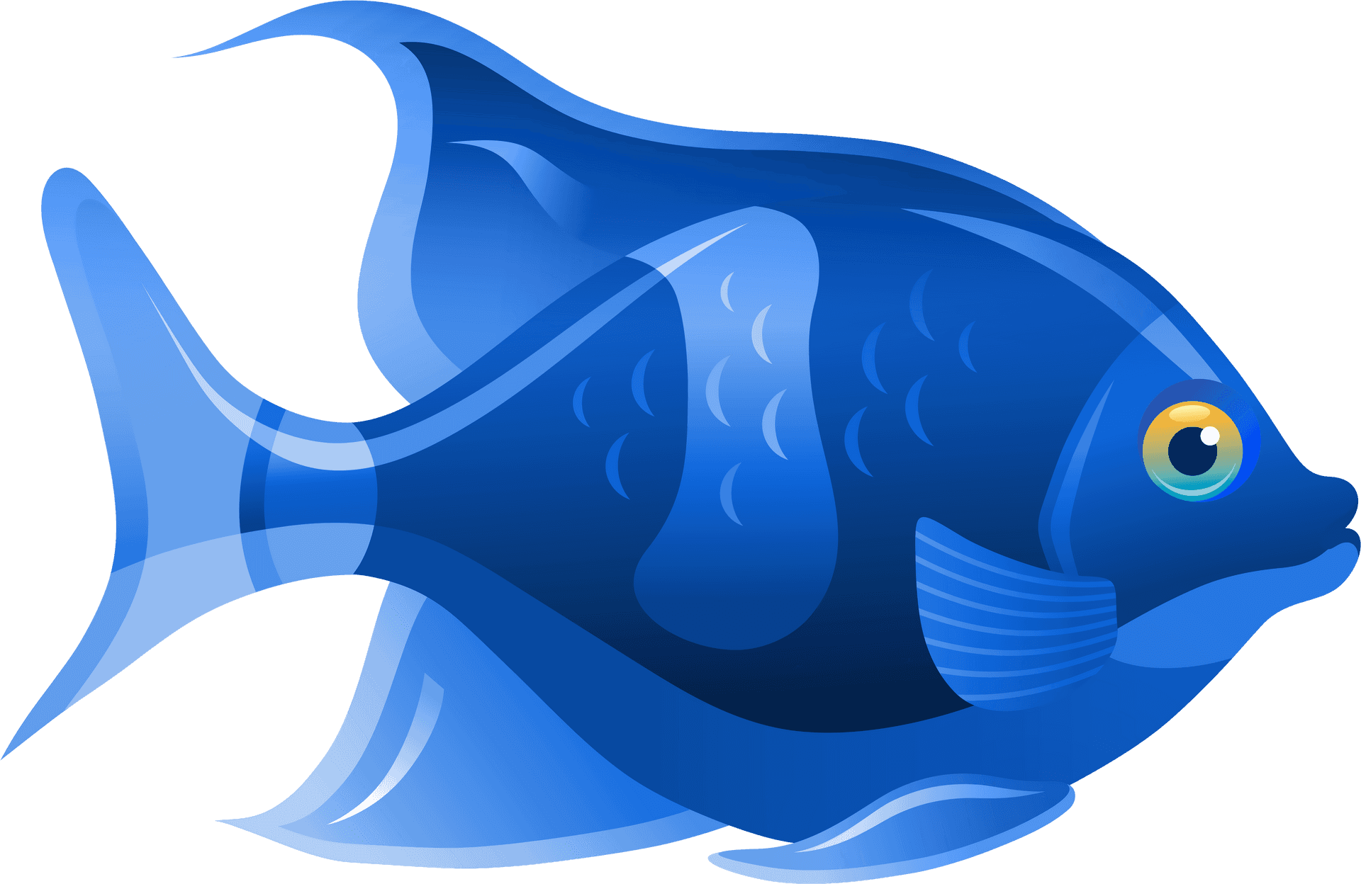 Blue Tropical Fish Illustration PNG