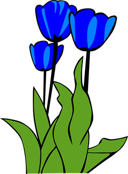 Blue Tulips Vector Art PNG