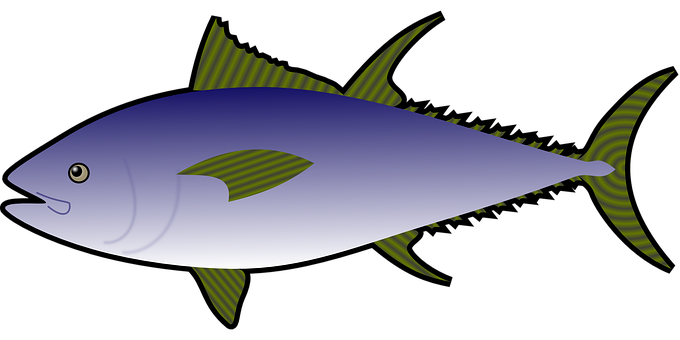 Blue Tuna Illustration PNG