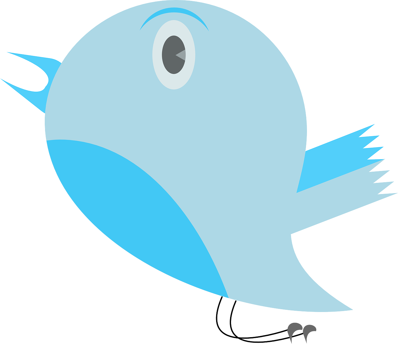 Blue Twitter Bird Illustration PNG