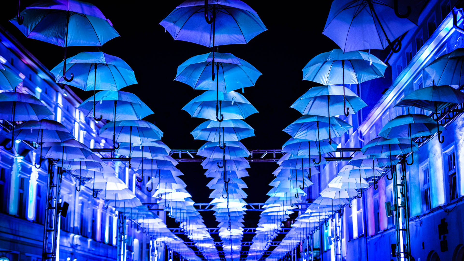 Blue Umbrellas On The Ceiling
