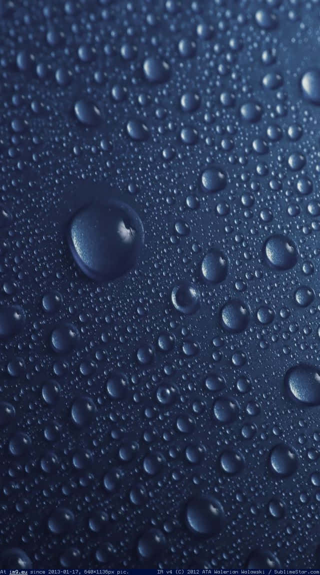 Blue Water Droplets Texture Wallpaper