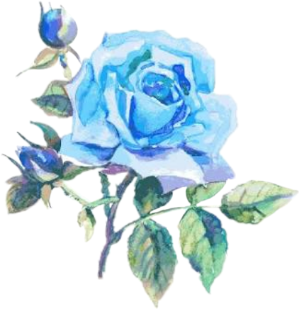 Blue Watercolor Rose Artwork PNG