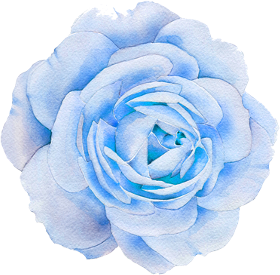 Blue Watercolor Rose PNG