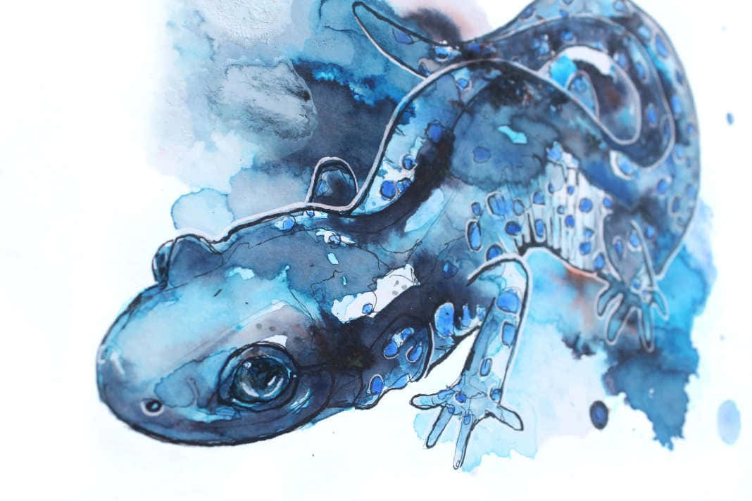 Blue Watercolor Salamander Artwork Wallpaper