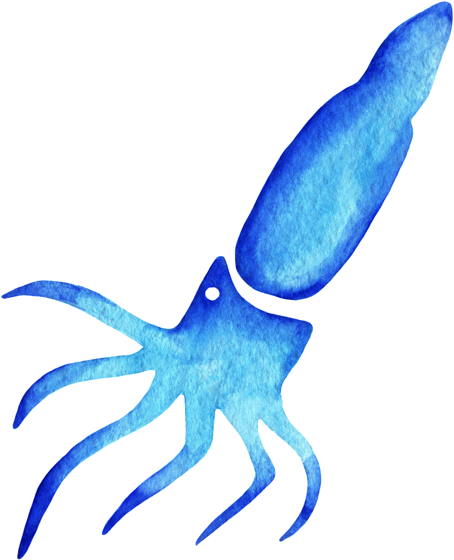 Blue Watercolor Squid Illustration PNG