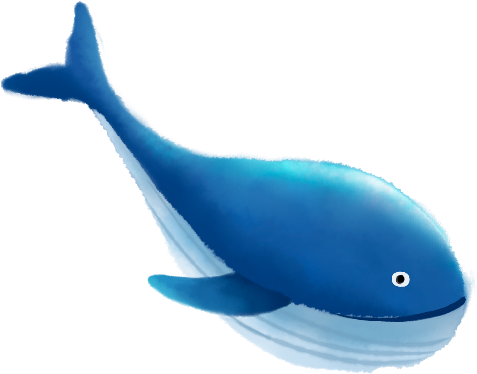 Blue Whale Cartoon Illustration PNG