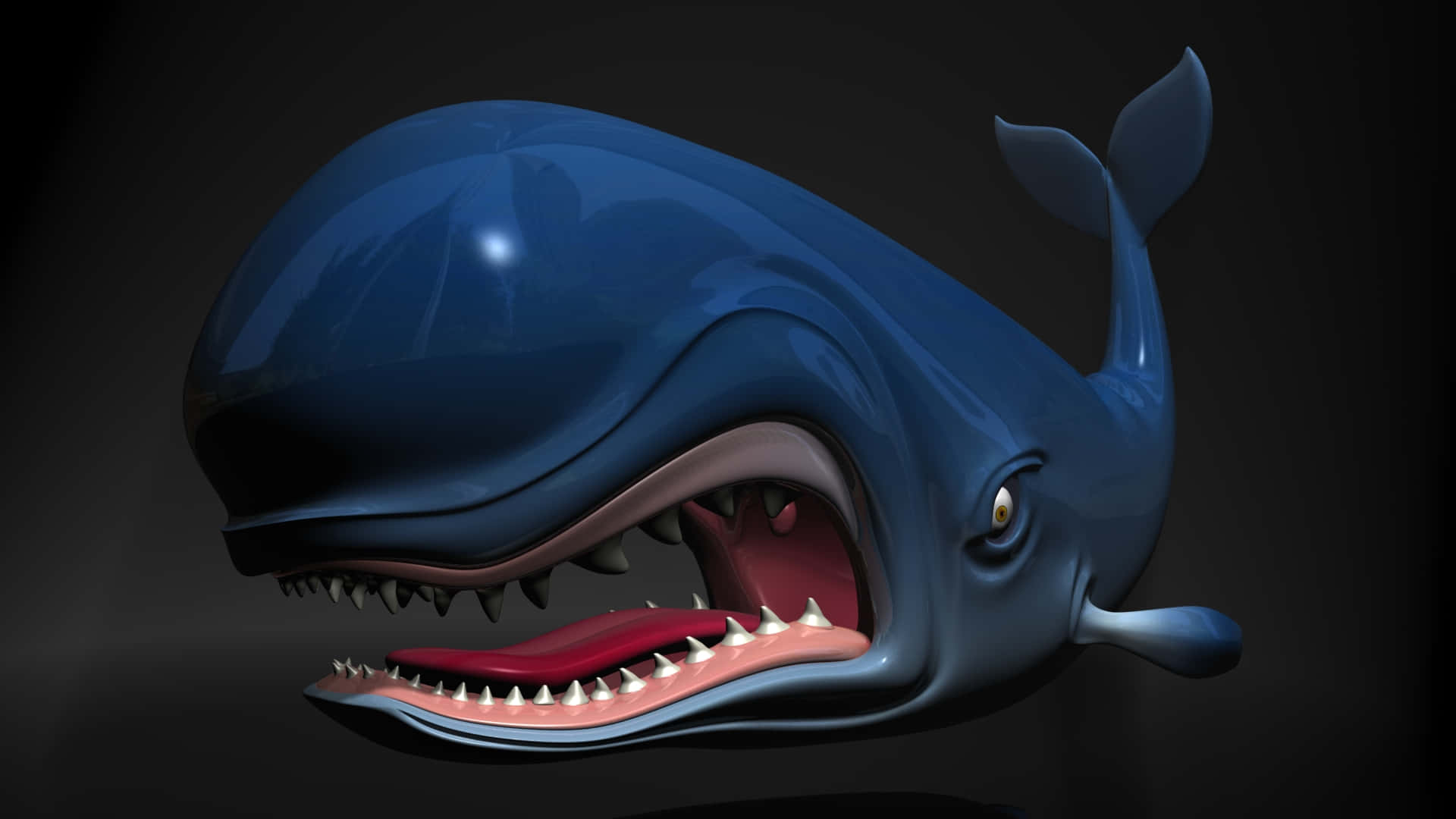 Blue Whale Angry Face Ocean Photography Picture