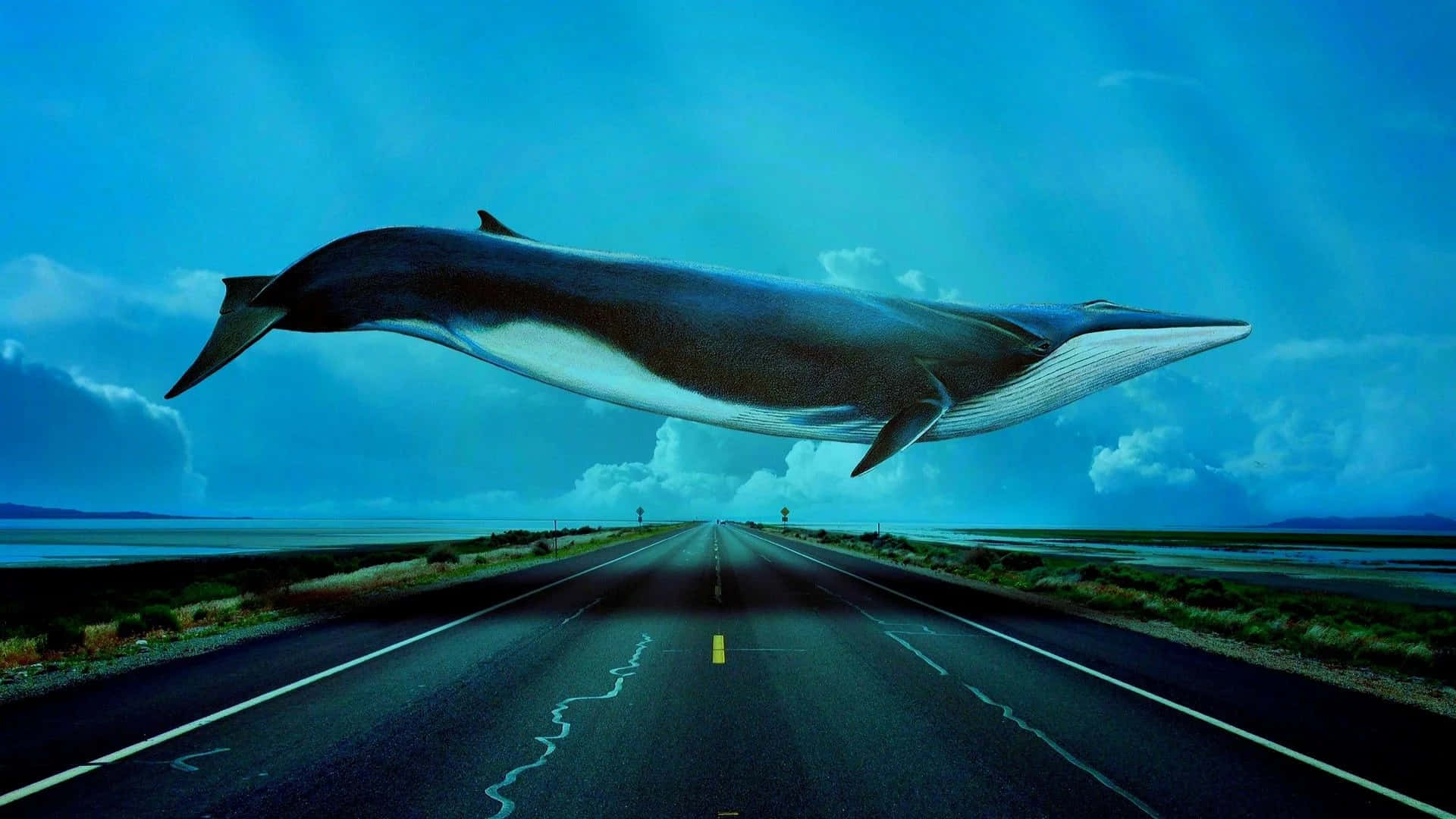 Blue Whale Crossing The Road Digital Art Picture