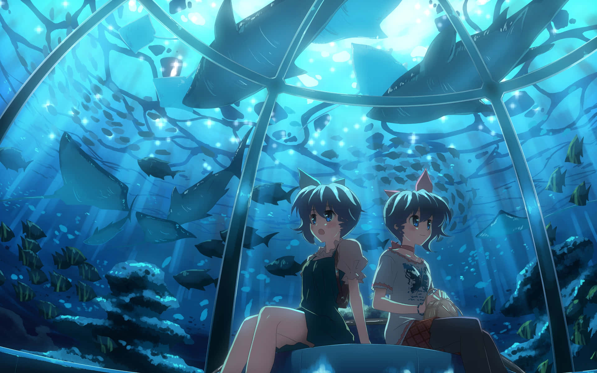 Blauerwal Aquarium Yuuki Tatsuya Anime Bild