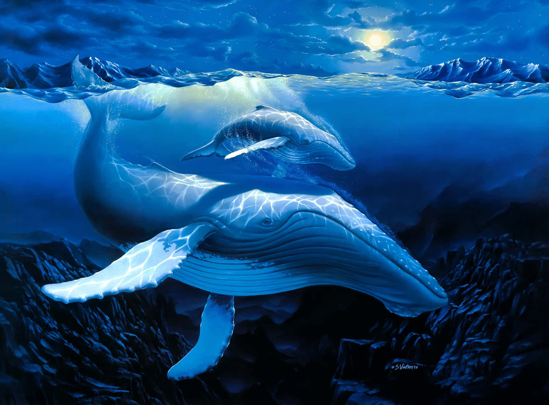 En majestætisk blå hval i dets naturlige habitat.