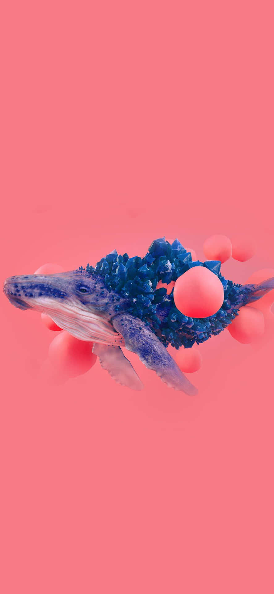 Blauewal Ocean Pink Hintergrund Digital Art Bild