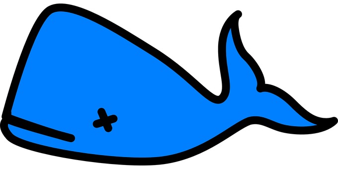 Blue Whale Vector Illustration PNG