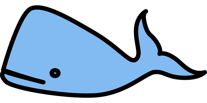 Blue Whale Vector Illustration PNG