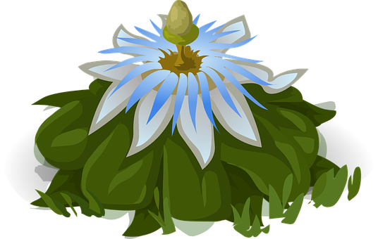 Blue White Flower Illustration PNG