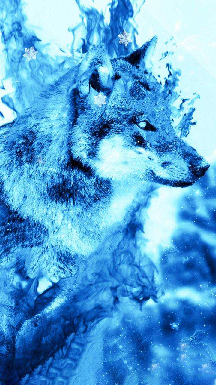 Blue Wolf Water Art Wallpaper