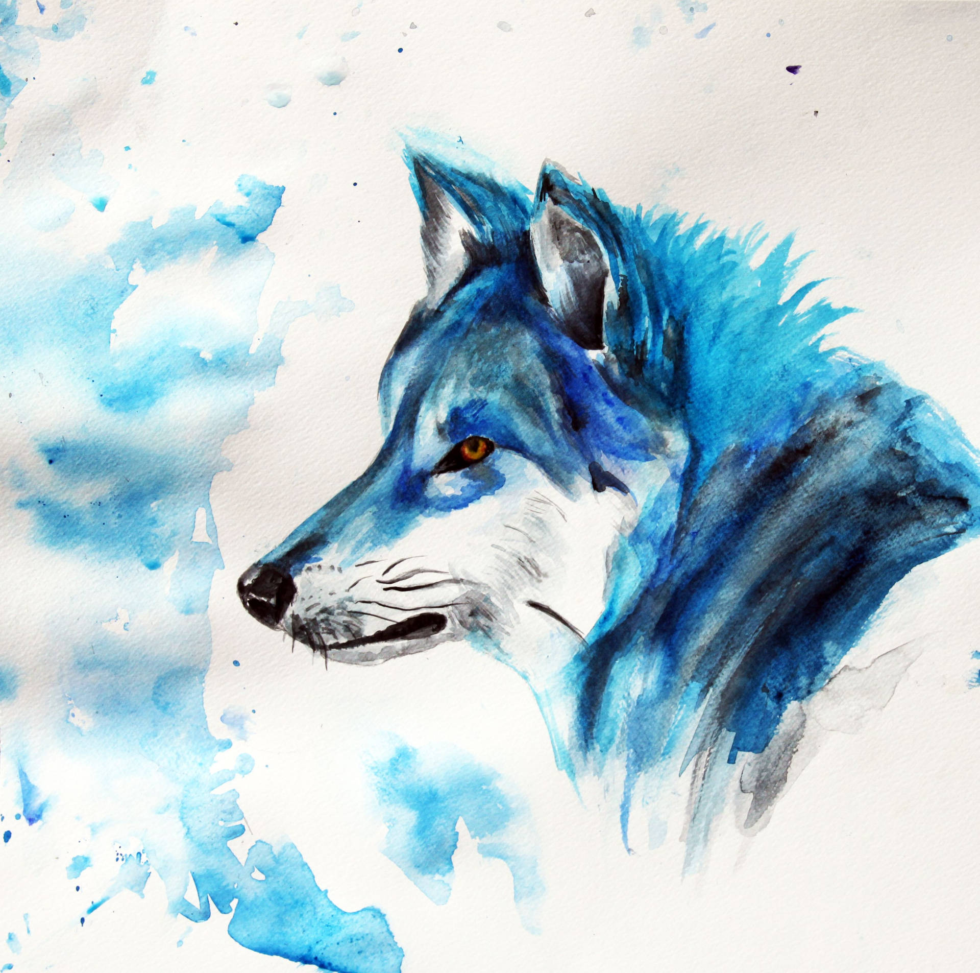 Blue Wolf Watercolor Painting Wallpaper