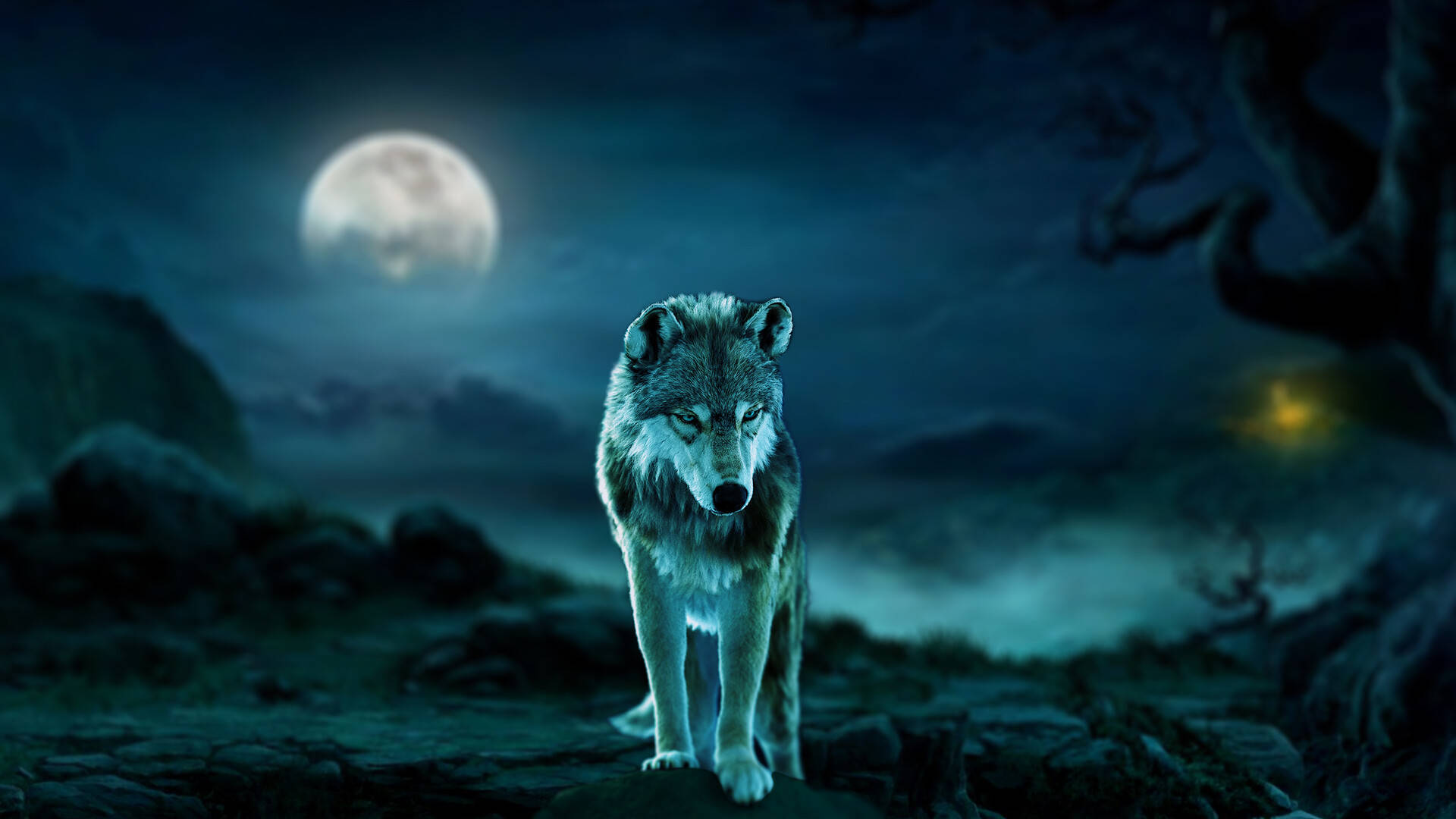 Blue Wolf With Full Moon Wallpaper