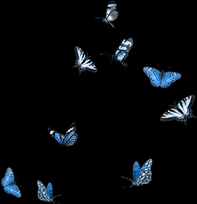Blue_ Butterflies_ Black_ Background PNG