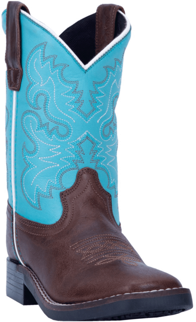 Blueand Brown Western Cowboy Boot PNG