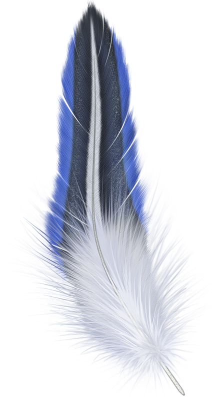 Blueand White Feather Artwork PNG