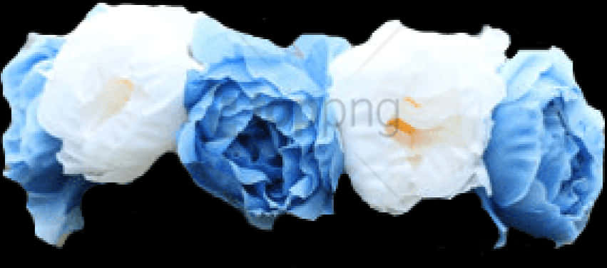 Blueand White Floral Array PNG