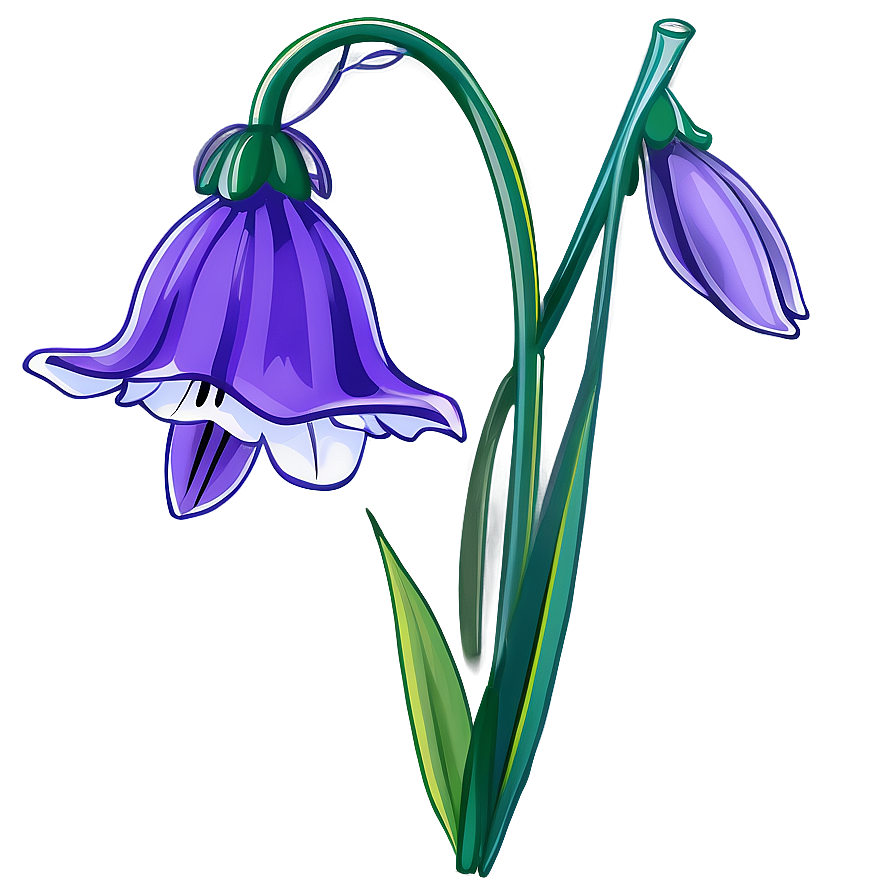 Bluebell Flower Transparent Png 05252024 PNG