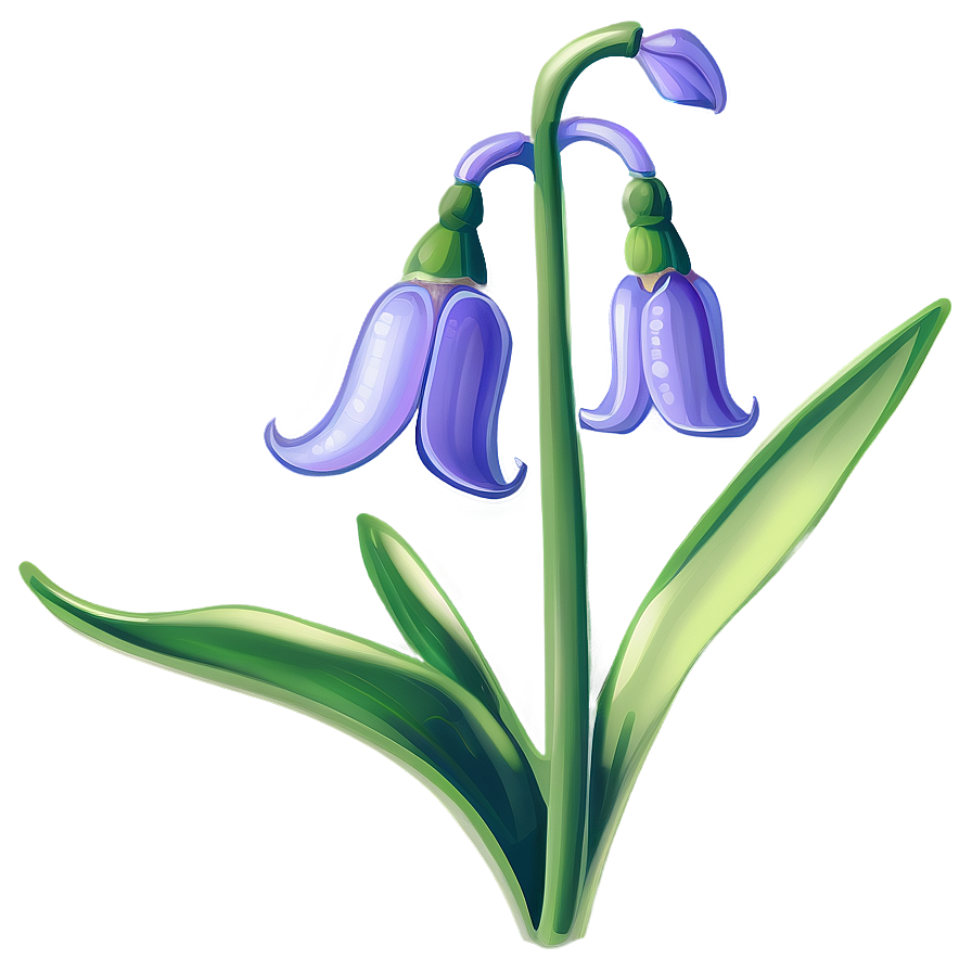 Bluebell Flower Transparent Png Idc89 PNG