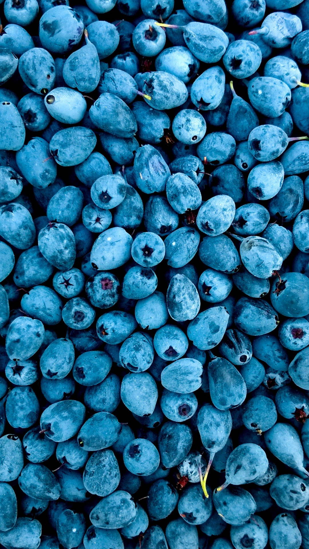 Blueberries 2160x3840 Wallpaper