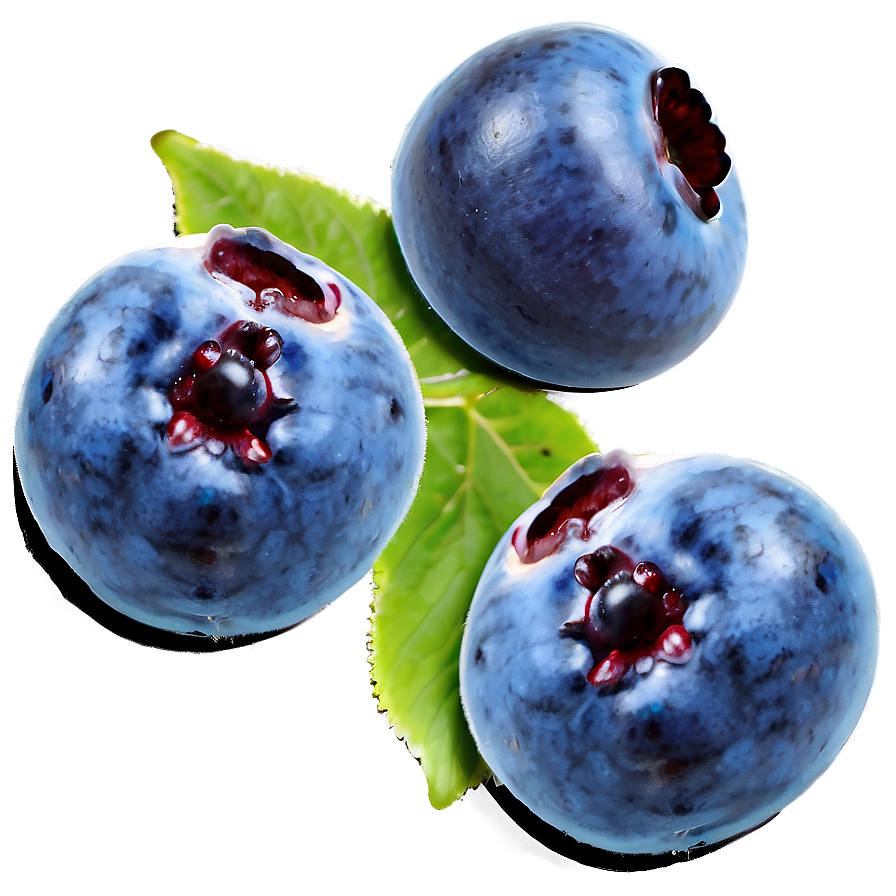 Download Blueberries Art Png 05242024 | Wallpapers.com