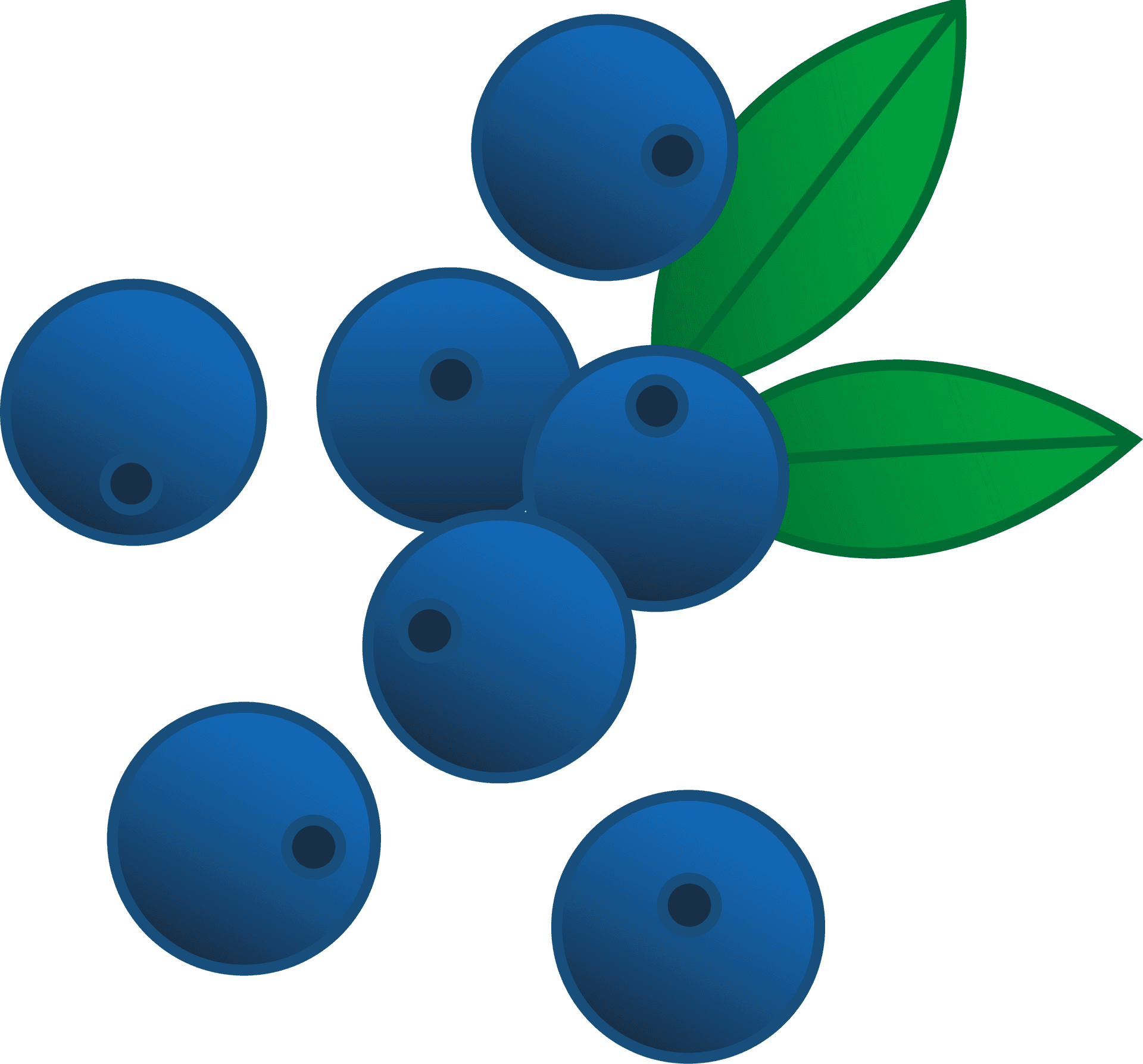 Blueberries Clipart PNG